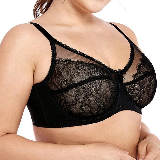 Sheer Lace Unlined Underwire - Plus Size Bra Boutique - Dr. Canine's