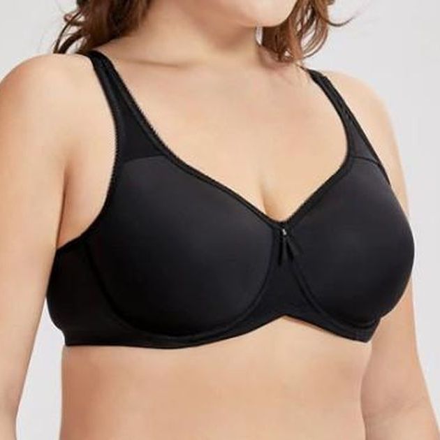 Full Coverage Lightly Lined Basic T-Shirt - Plus Size Bra Boutique - Dr. Canine's