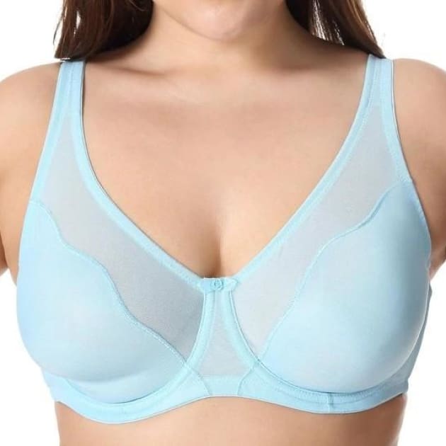 https://drcanines.com/cdn/shop/products/v-neck-full-cover-non-padded-bra-light-sky-blue-cup-unlined-plus-size-dr-canines_279_800x.jpg?v=1563332679